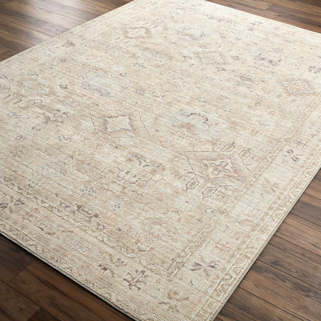 Nakia Traditional Style Tan And Brown Area Rug