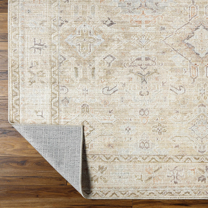 Nakia Traditional Style Tan And Brown Area Rug