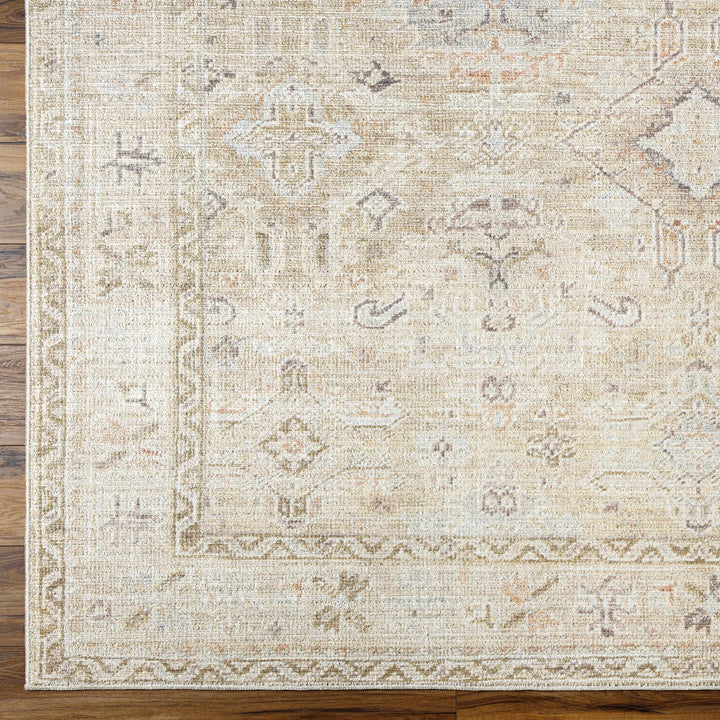 Nakia Traditional Style Tan And Brown Area Rug