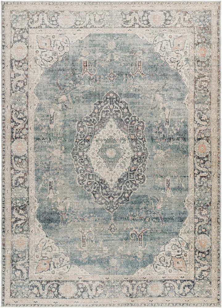 Nayef Traditional Gray And Beige Machine Woven Rug