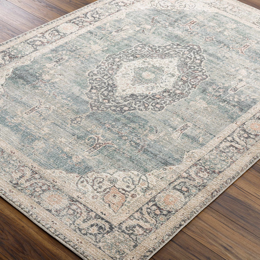 Nayef Traditional Gray And Beige Machine Woven Rug