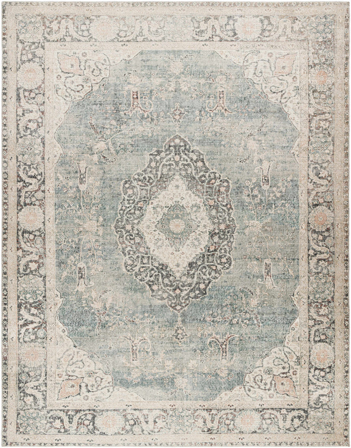 Nayef Traditional Gray And Beige Machine Woven Rug