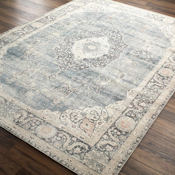 Nayef Traditional Gray And Beige Machine Woven Rug