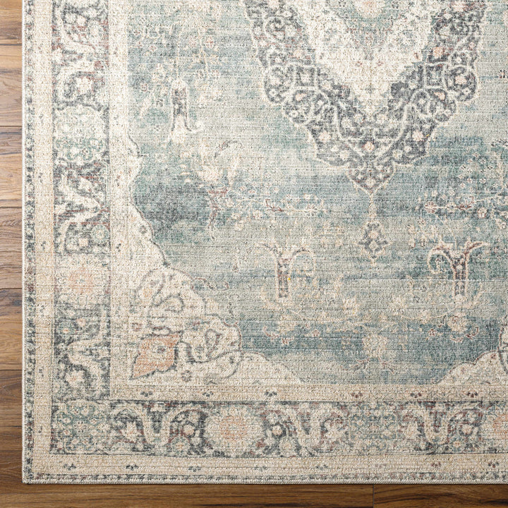 Nayef Traditional Gray And Beige Machine Woven Rug