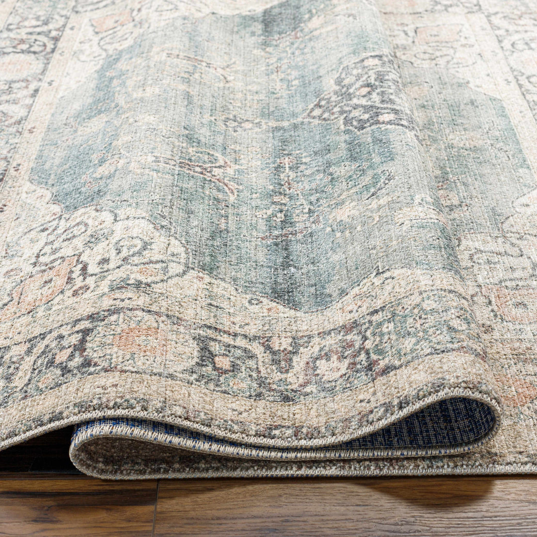 Nayef Traditional Gray And Beige Machine Woven Rug
