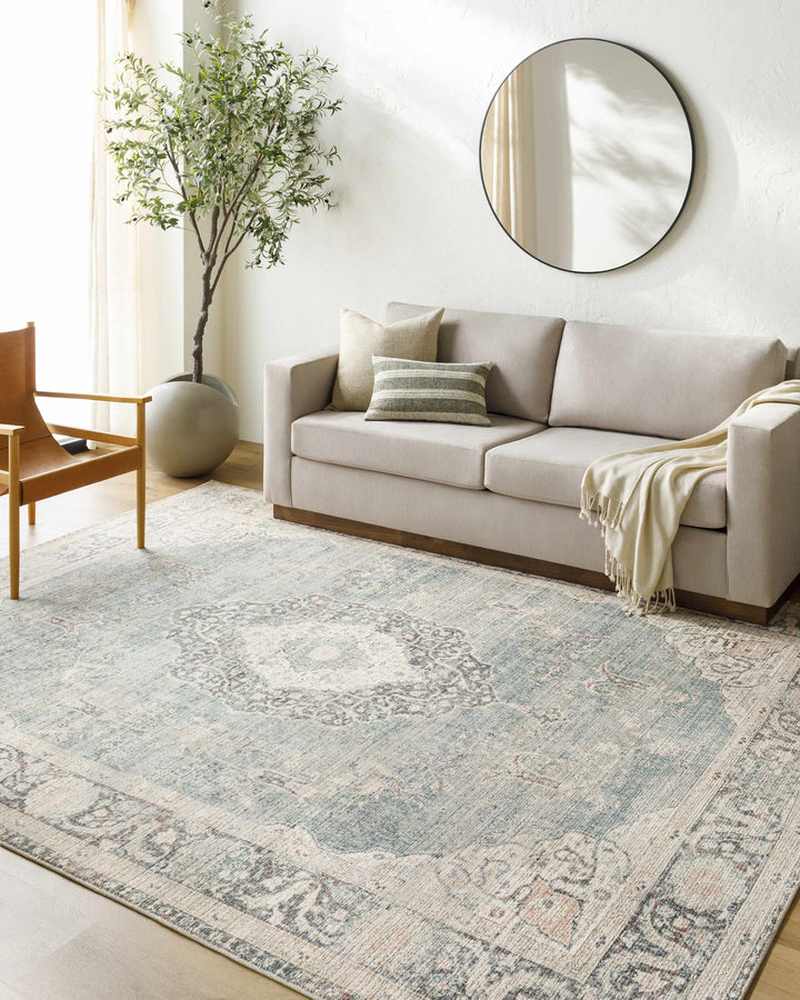 Nayef Traditional Gray And Beige Machine Woven Rug