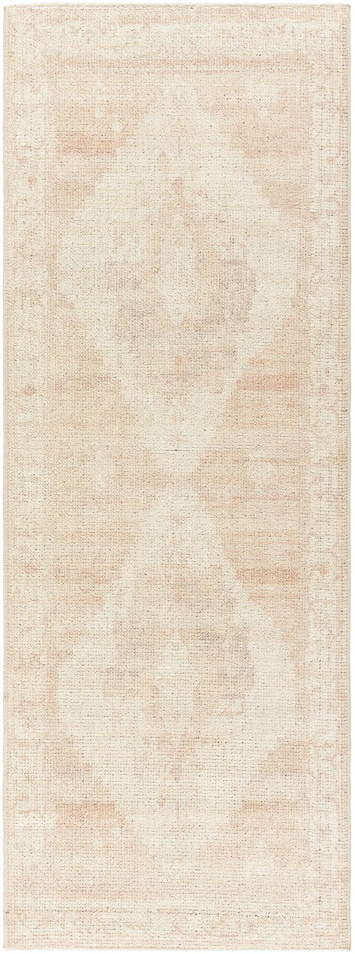 Gyan Traditional Style Beige And Brown Area Rug