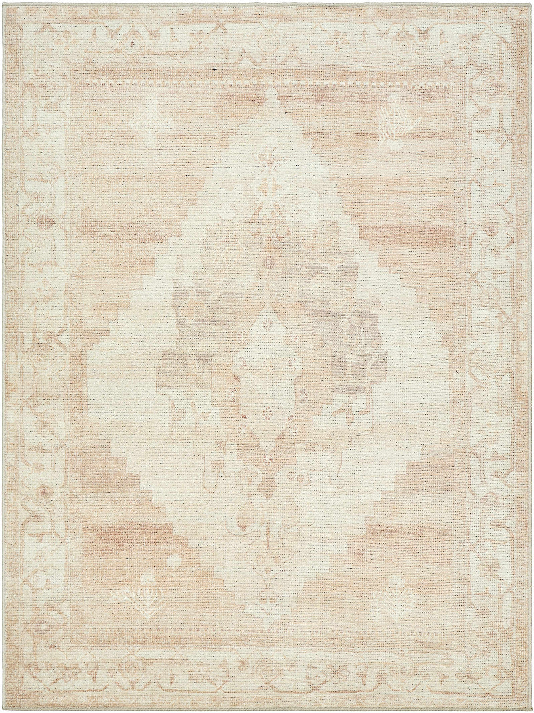 Gyan Traditional Style Beige And Brown Area Rug