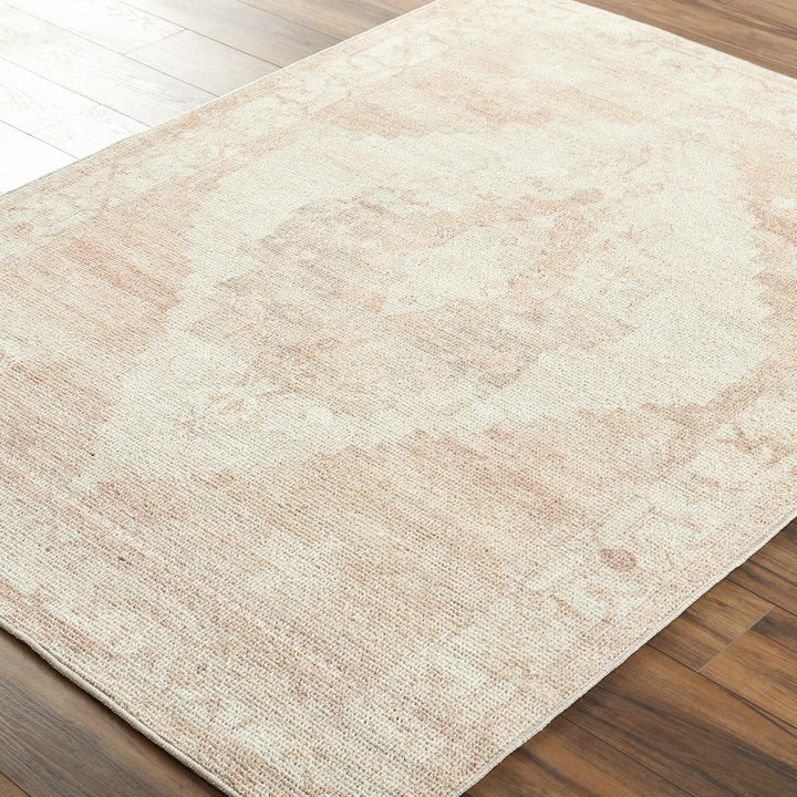 Gyan Traditional Style Beige And Brown Area Rug