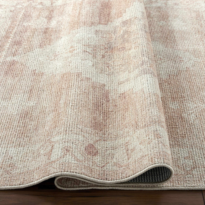 Gyan Traditional Style Beige And Brown Area Rug