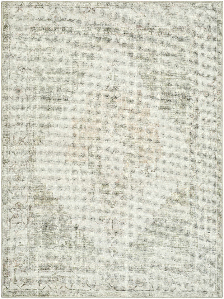 Gyan Traditional Gray And Ivory Machine Woven Rug