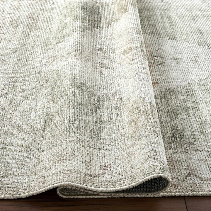 Gyan Traditional Gray And Ivory Machine Woven Rug