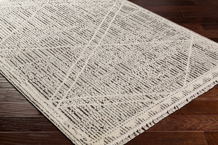 Luuk Beige And Gray Contemporary Style Area Rug