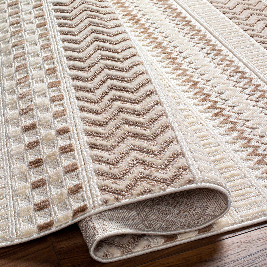 Eiko Traditional Style Beige Textured Saxony Rug with Fringes