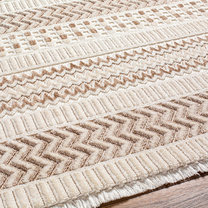 Eiko Traditional Style Beige Textured Saxony Rug with Fringes
