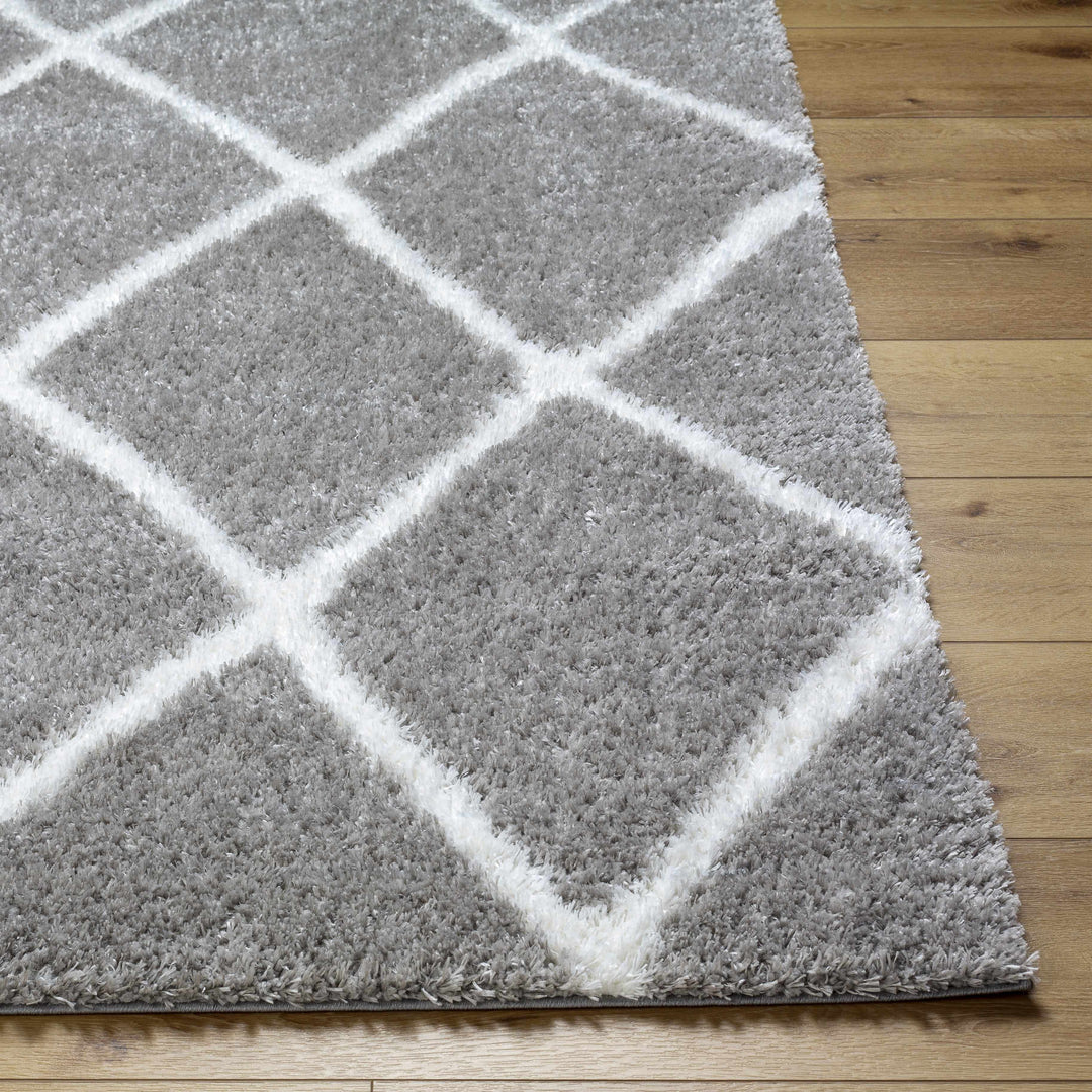 Faye Gray And White Contemporary Style Area Rug