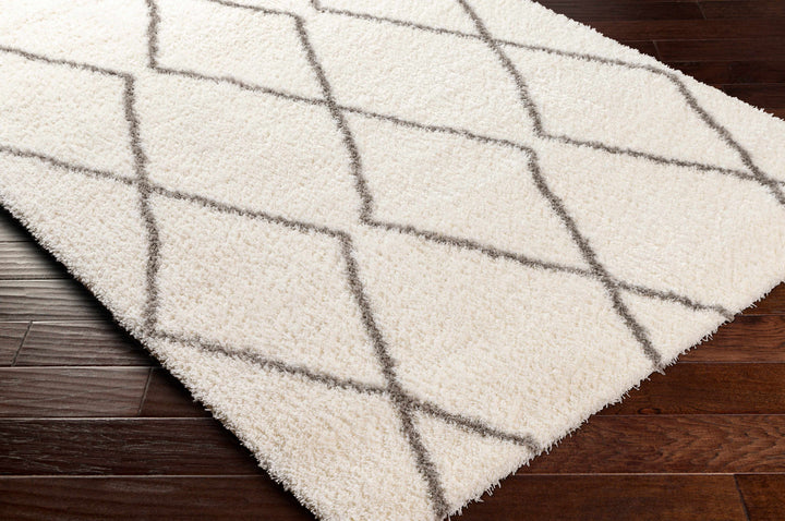 Maximiliano Ivory And Gray Contemporary Style Area Rug