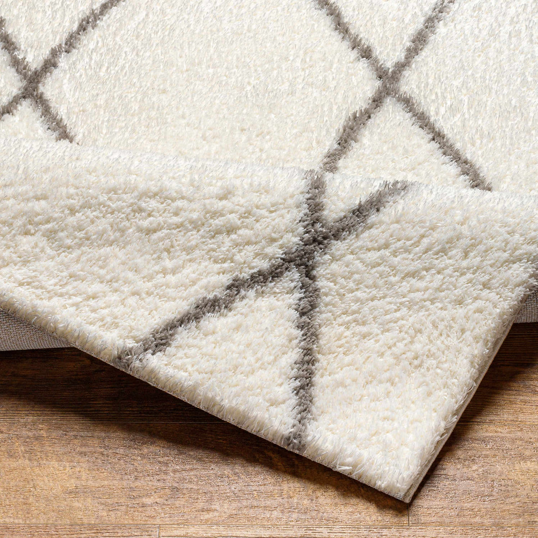 Maximiliano Ivory And Gray Contemporary Style Area Rug