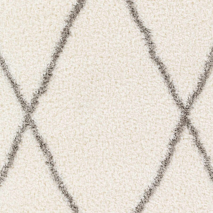 Maximiliano Ivory And Gray Contemporary Style Area Rug