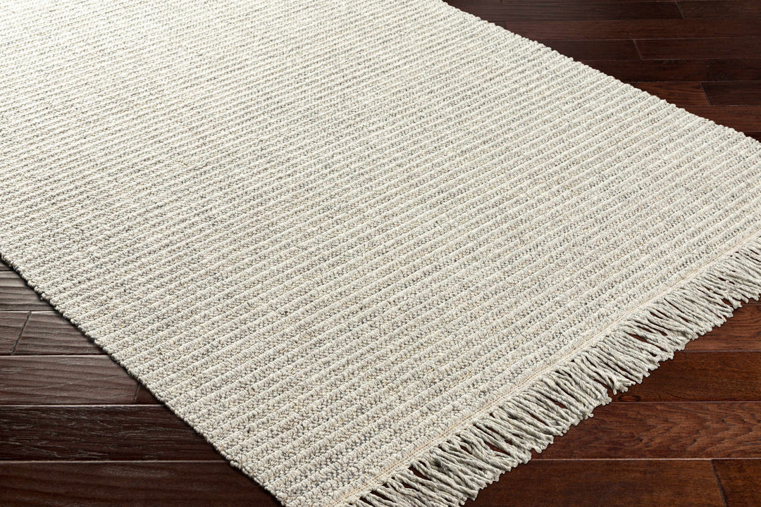 Desma Contemporary Gray Area Rug
