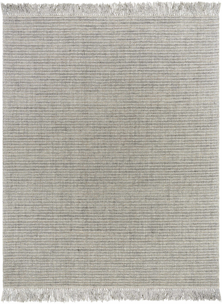 Desma Contemporary Gray Area Rug