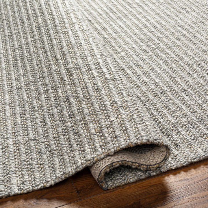Desma Contemporary Gray Area Rug