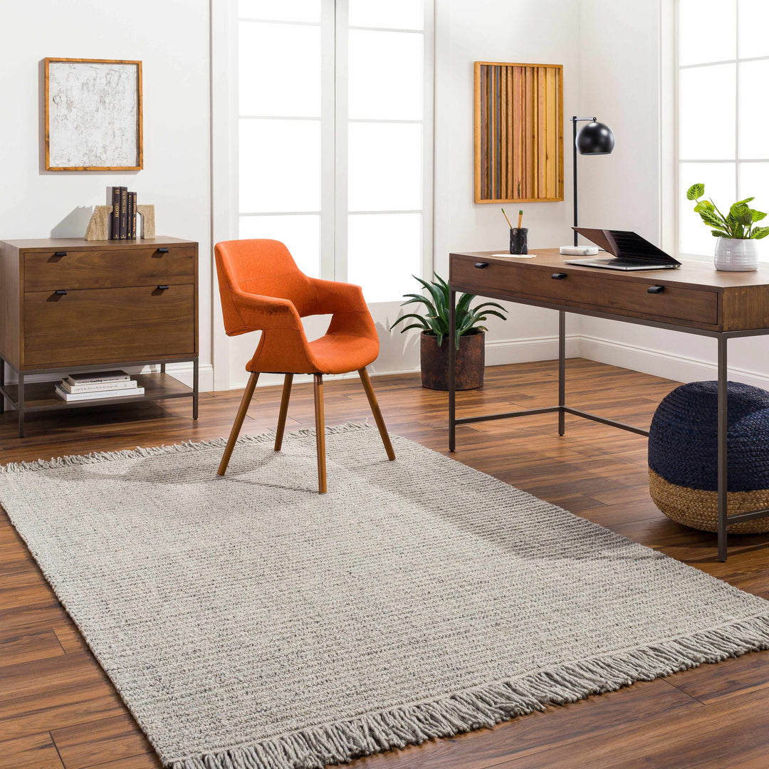 Desma Contemporary Gray Area Rug
