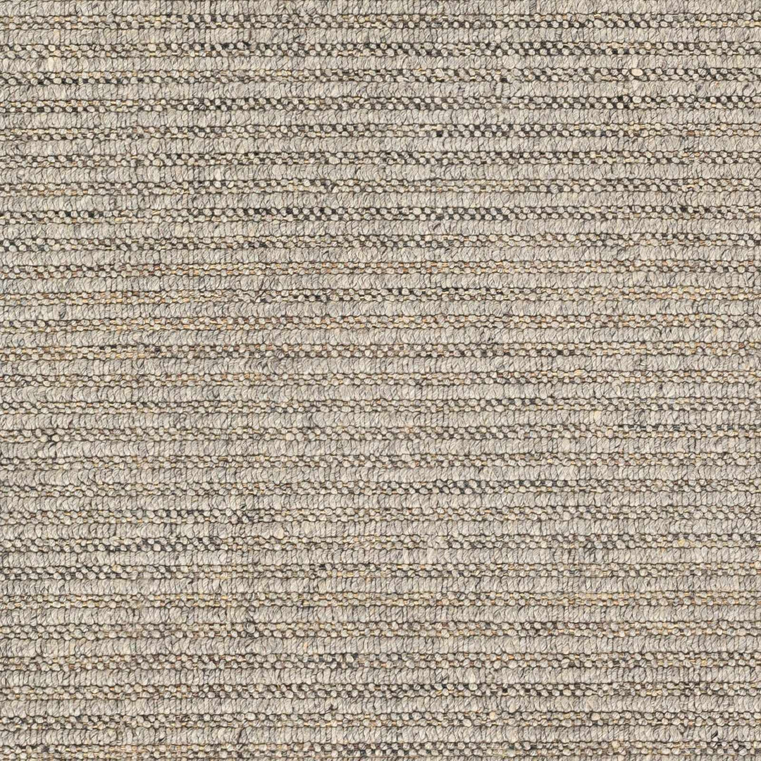 Desma Contemporary Gray Area Rug