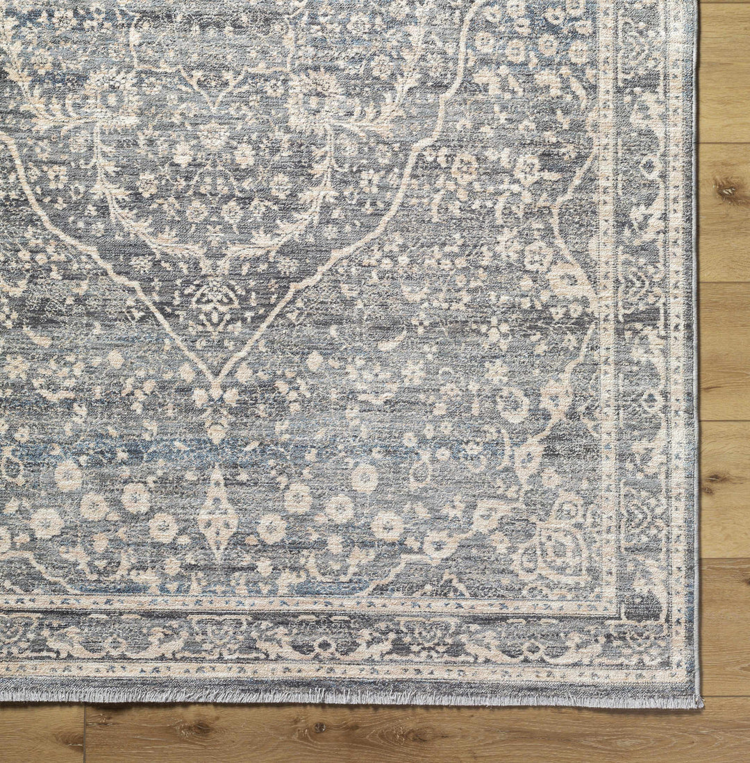 Anouk Traditional Style Beige And Gray Area Rug