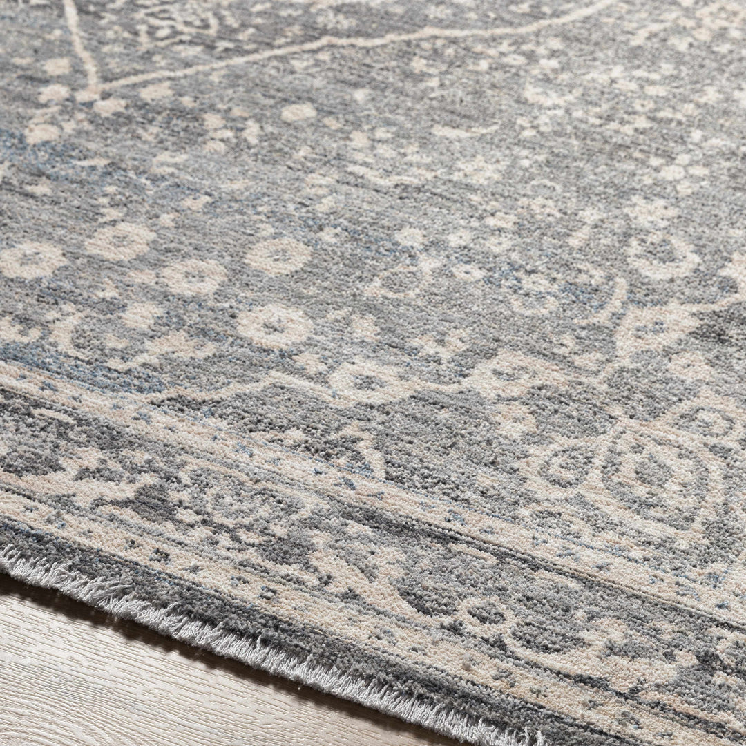 Anouk Traditional Style Beige And Gray Area Rug