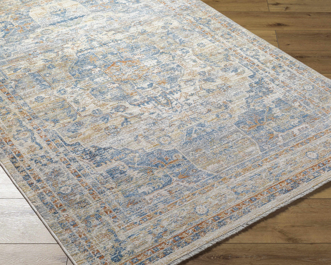 Bora Traditional Distress Beige And Blue Area Rug