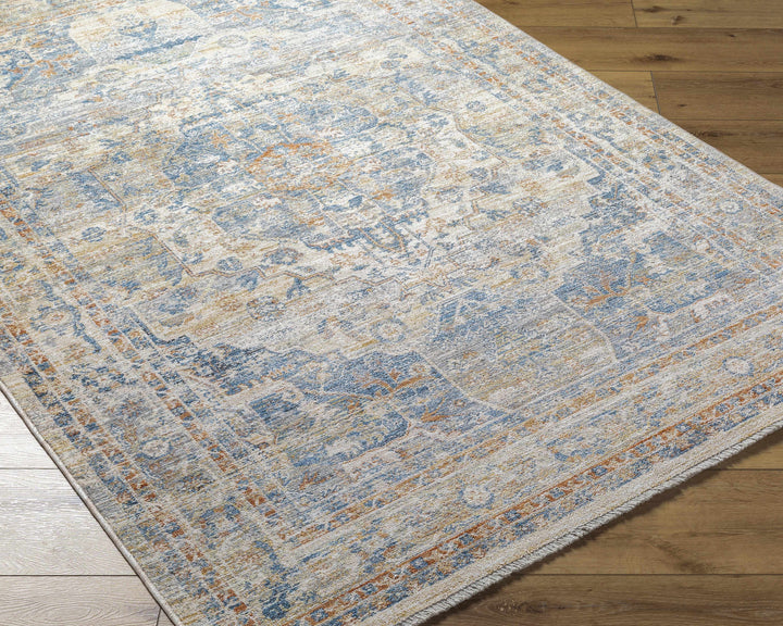 Bora Traditional Distress Beige And Blue Area Rug