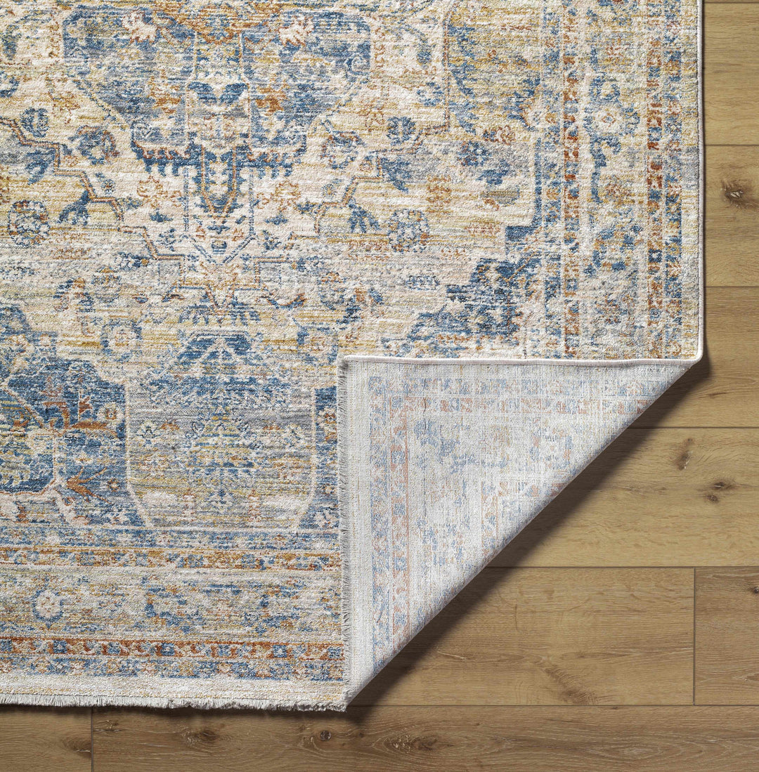 Bora Traditional Distress Beige And Blue Area Rug