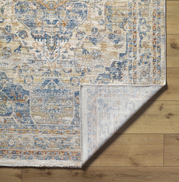 Bora Traditional Distress Beige And Blue Area Rug