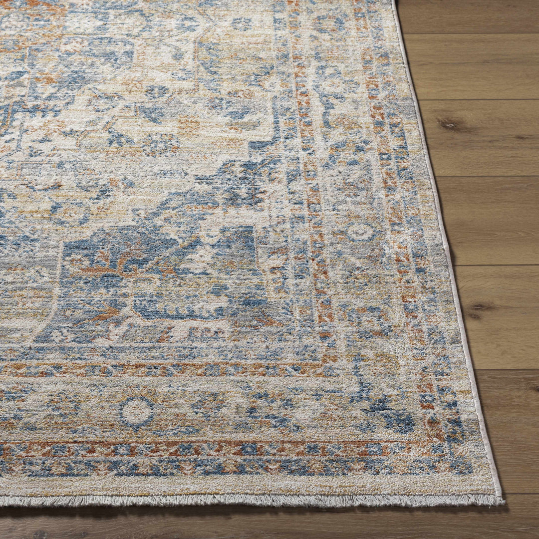 Bora Traditional Distress Beige And Blue Area Rug