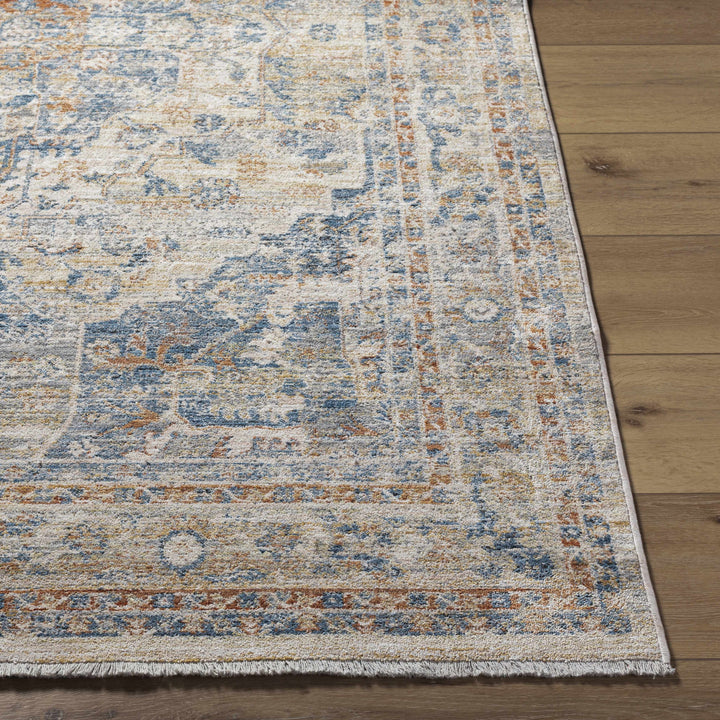 Bora Traditional Distress Beige And Blue Area Rug