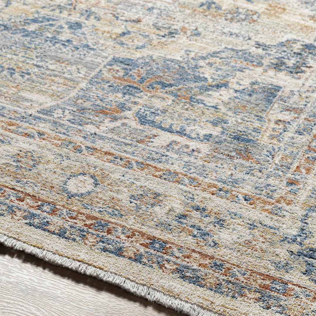 Bora Traditional Distress Beige And Blue Area Rug