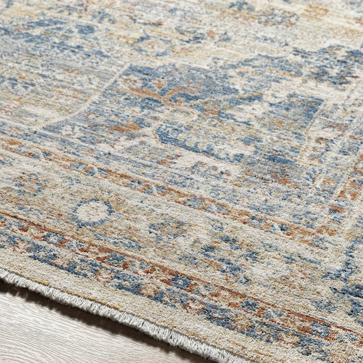 Bora Traditional Distress Beige And Blue Area Rug