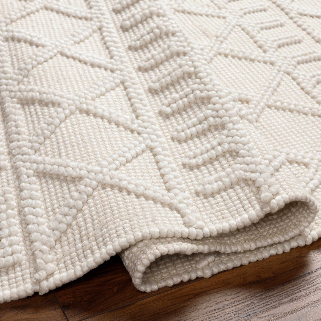 Canta Bohemian Style Beige And ivory Hand Woven Rug