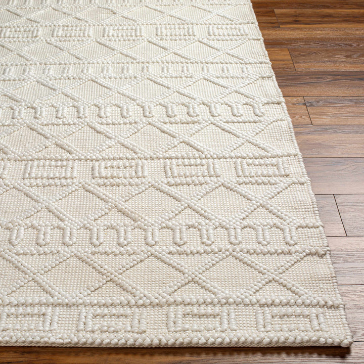 Canta Bohemian Style Beige And ivory Hand Woven Rug