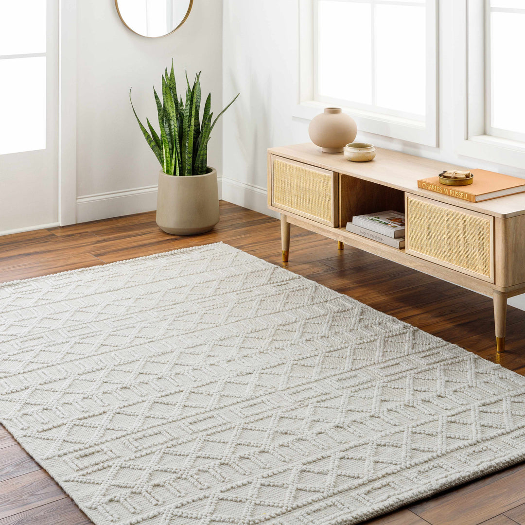 Canta Bohemian Style Beige And ivory Hand Woven Rug