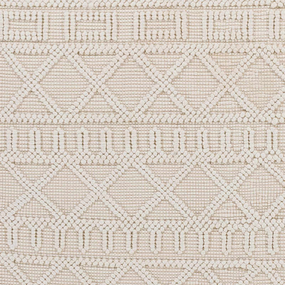 Canta Bohemian Style Beige And ivory Hand Woven Rug