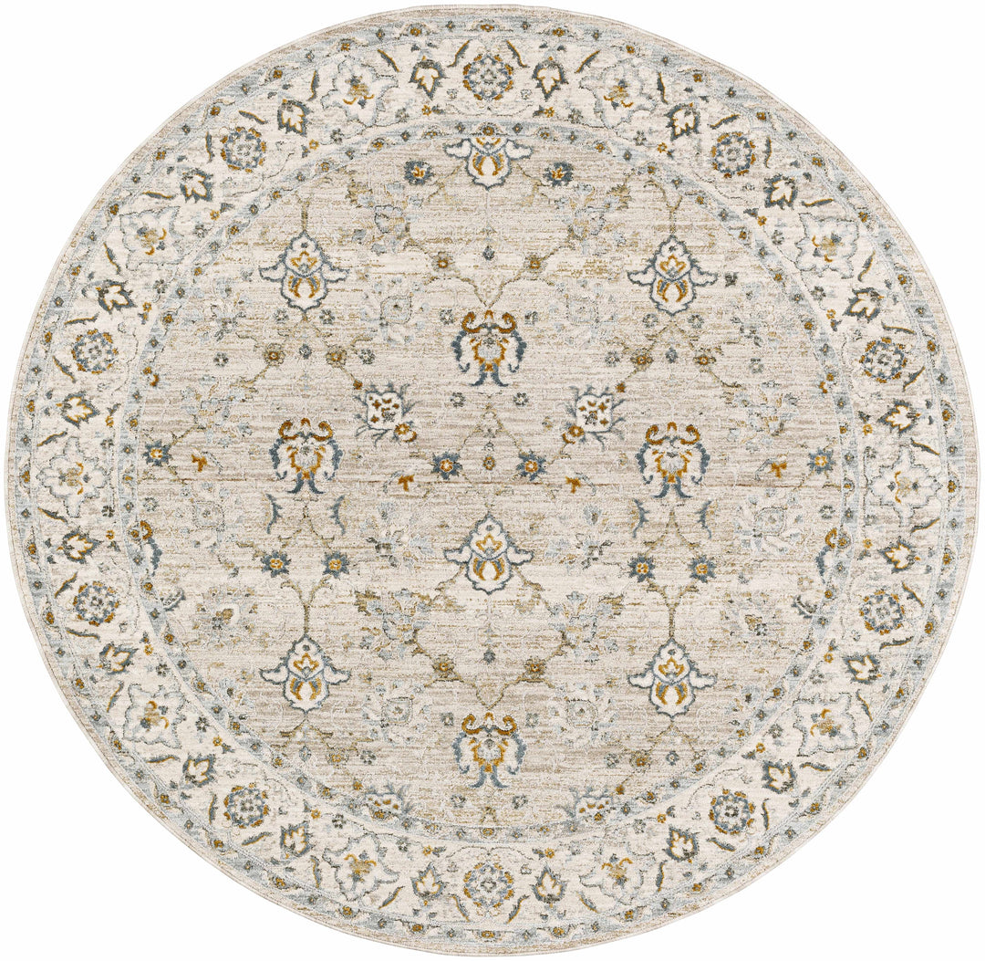 Amaru Beige And Olive Traditional Floral design Rug
