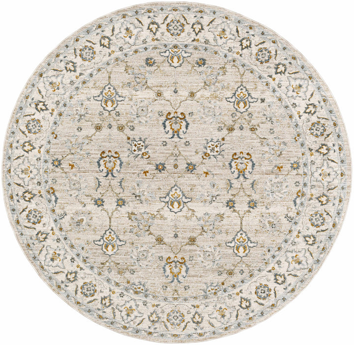 Amaru Beige And Olive Traditional Floral design Rug
