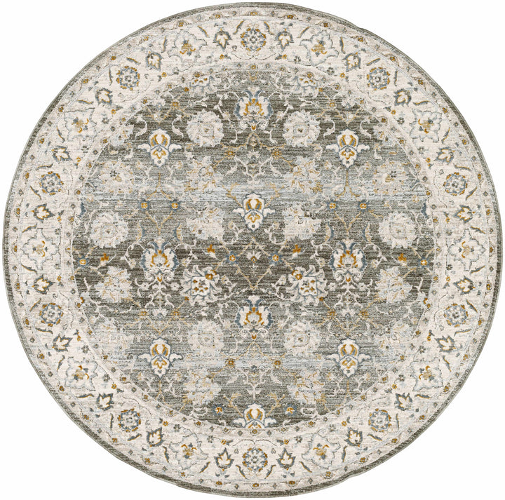 Amaru Traditional Style Gray And Beige Rug with Fringes