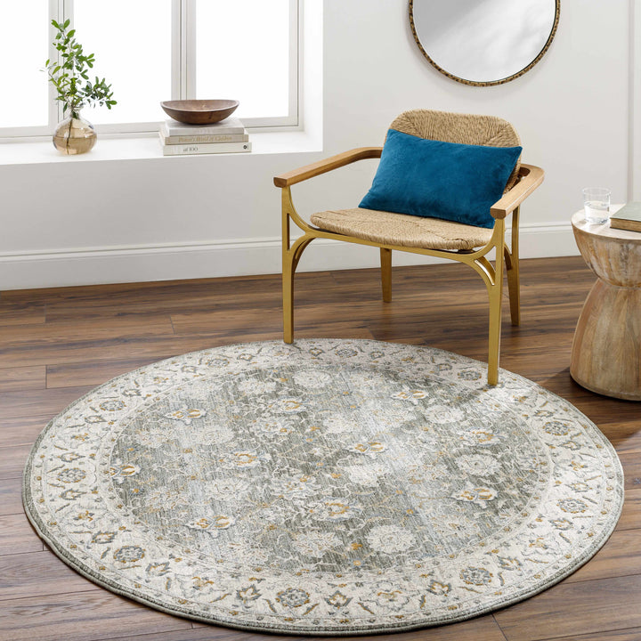 Amaru Traditional Style Gray And Beige Rug with Fringes