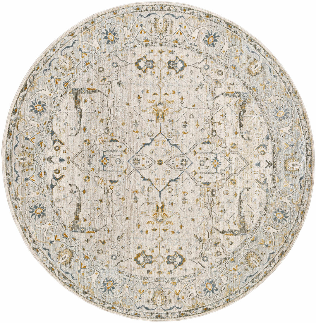 Aviva Traditional Style Ivory And Teal Area Rug