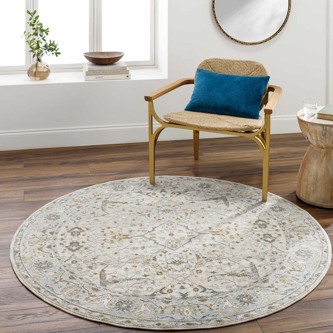 Aviva Traditional Style Ivory And Teal Area Rug