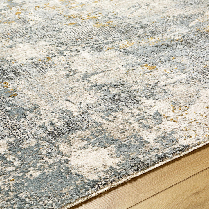 Chaya Modern Abstract Design Beige And Gray Rug