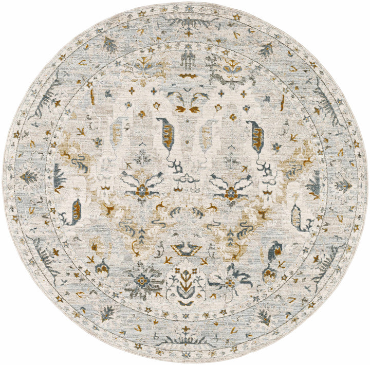 Emile Traditional Style Beige And Teal Rug